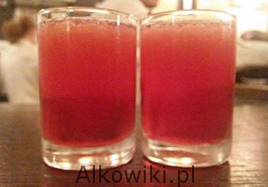 Kapiszon SHOTY Shot Kapiszon